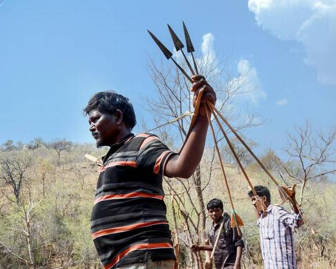 “Not long ago, the Chenchus were caught in the crossfire between Maoists and the anti-Naxal force of the Andhra Pradesh police. The recent National Tiger Conservation Authority order puts them into yet another uncertain phase.” | Photo Credit: V. RAJU