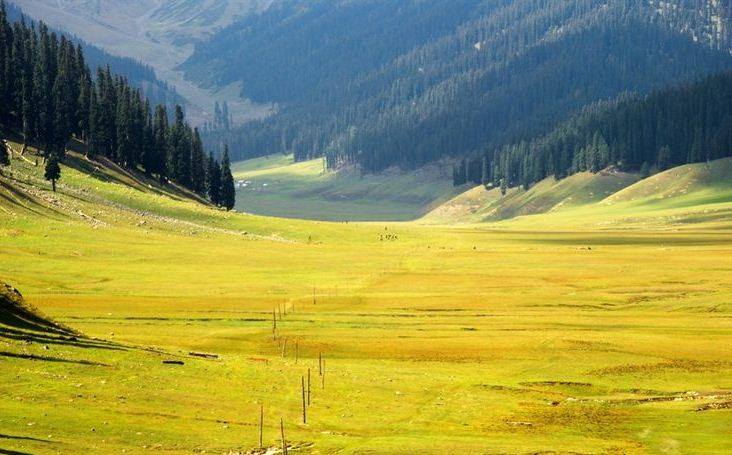 A meadow in Bangus Valley, one of the areas identified by the Jammu & Kashmir Forest Department as holding strong ecotourism potential. Source: Wikimedia / Wasiq 9320