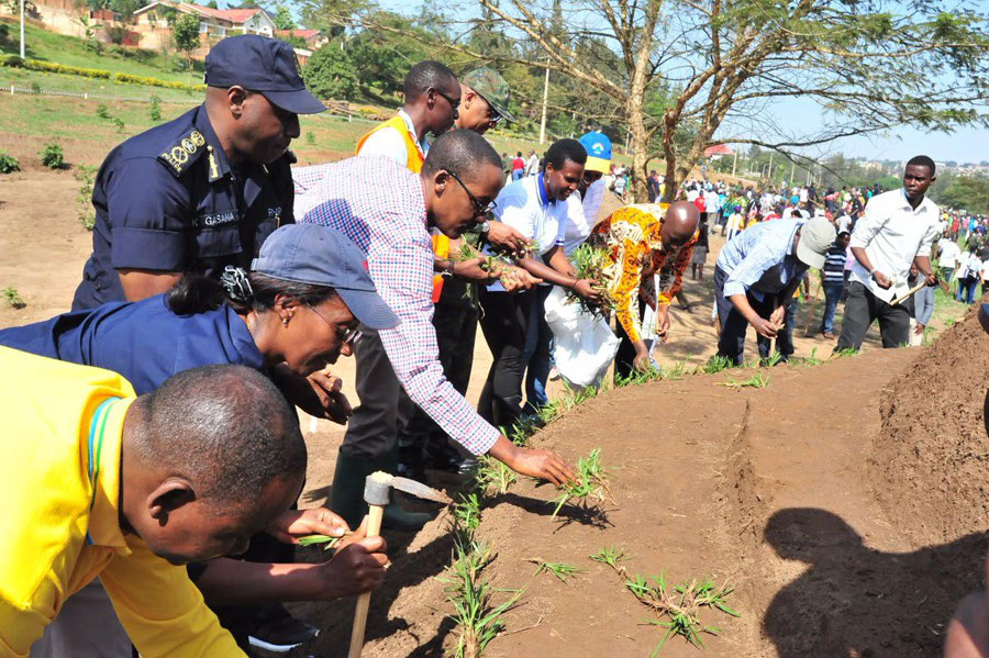 Residents and public officials of Kigali, Rwanda planting grass and native trees to restore the Nyandungu wetland. Source: 'KT Press'