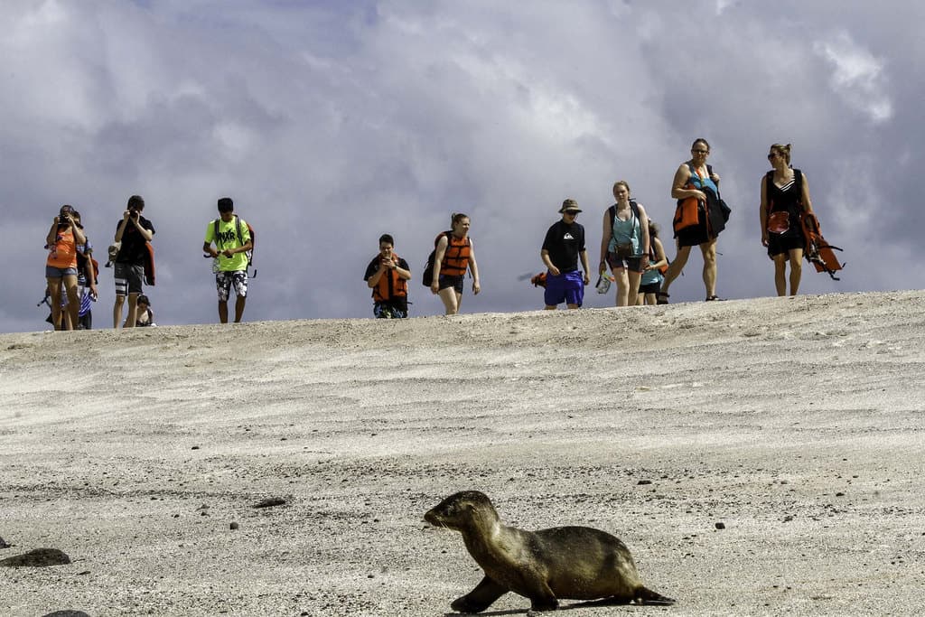 Galapagos tourism threatens wildlife. Image by By Agencia de Noticias ANDES (CC BY-SA 2.0) via Flickr