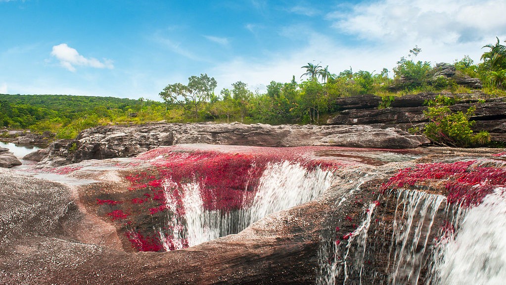Colombia has its ecotourism treasures such as the Caño Cristales waterfall. Image by Mario Carvajal (CC BY 3.0) via Wikimedia. https://commons.wikimedia.org/wiki/File:CA%C3%91O_CRISTALES,_SECTOR_LOS_OCHOS_(COLOMBIA).jpg