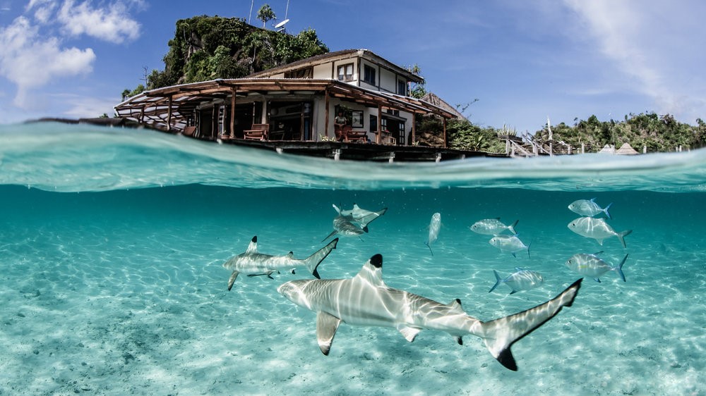 Misool is a diving resort and conservation centre located in Raja Ampat, Indonesia. Misool was founded on the belief that sustainable tourism could safeguard the future of the surrounding reefs, which are some of the most biodiverse on Earth. Designed and managed by Canopy Power, a PV-Storage Hybrid system was installed and commissioned in March 2018.