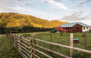 Elundini Backpackers homestead. Image supplied by author.