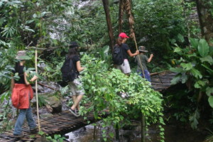 PangSoong Lodge nature trail. Image supplied by author.