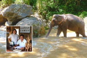 An elephant of Green Hill Valley Elephant Camp, Shan state, Myanmar. (Image by Hollis Burbank-Hammarlund). Inset: GHV's Founders Tin Win Maw (Left) and Htun Htun Wynn (Image courtesy of GHV).