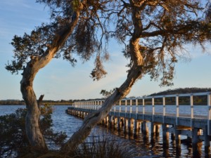 Swarbrick Jetty, Walpole Inlet, Western Australia. Image by David Gillbanks.