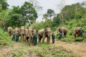 ECC's male elephant mahout team. Image by Anabel Lopez-Perez.