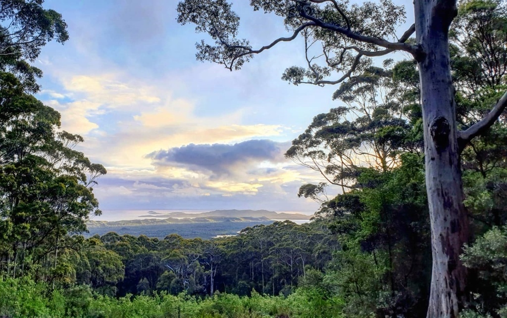 Hilltop Lookout, Walpole Nornalup National Park, Western Australia. Image by David Gillbanks (CC BY 4.0).