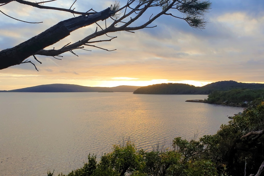 Nornalup Inlet at sunset, Western Australia. Image by David Gillbanks (CC BY 4.0).