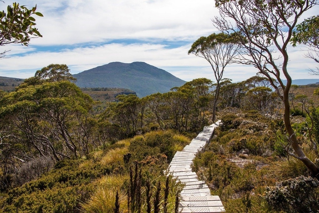 Overland track, Tasmania Wilderness. Image by pen_ash (CC0) via Pixabay. https://pixabay.com/photos/overland-track-tasmania-wilderness-4111331/