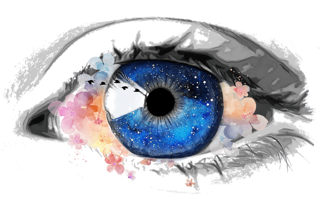 Flowers, cosmos, and the eye of the beholder. By DanielHannah (CC0) via Pixabay. https://pixabay.com/illustrations/eye-creative-galaxy-collage-4997724/
