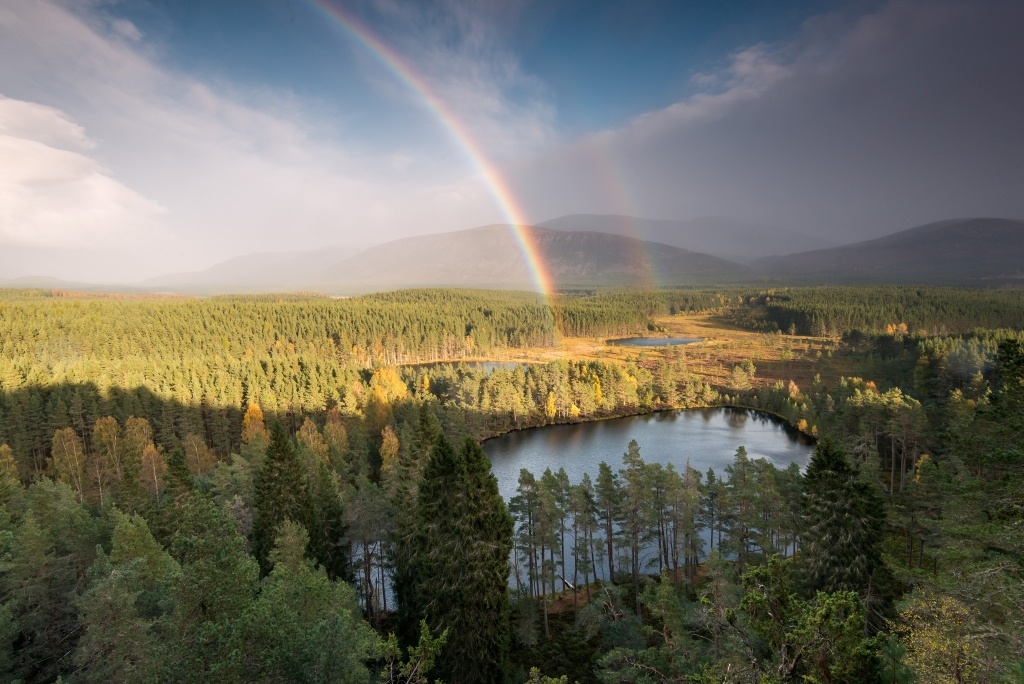 Uath Lochans, Kingussie, Scotland. By VisitScotland / Damian Shields.