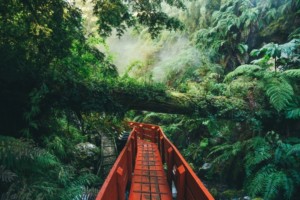 Termas Geométricas, Coñaripe, Panguipulli, Chile. By J Balla Photography (CC0) via Unsplash. https://unsplash.com/photos/jpyJeOg4BnI