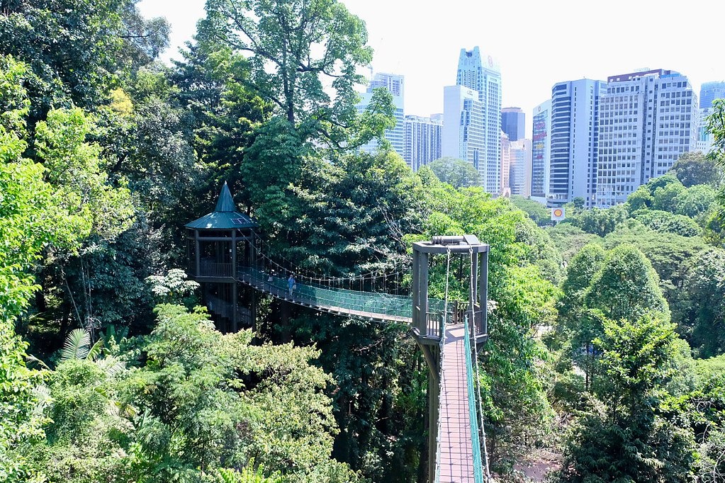 Ecotourism for the masses? Kuala Lumpur Forest Eco Park Canopy Walk. By RivieraBarnes (CC BY-SA 4.0) via Wikimedia Commons.