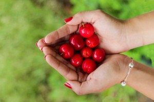 By Free-Photos (CC0) via Pixabay. https://pixabay.com/photos/cherries-handful-red-ripe-fresh-1082136/