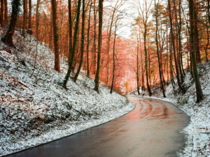 Extant roads and paths can, in whole or in part, be include in new tourism trails. Gailingen am Hochrhein, Germany. Photo by David Bayliss (CC0) via Unsplash. https://unsplash.com/photos/btgKjWhg3rs