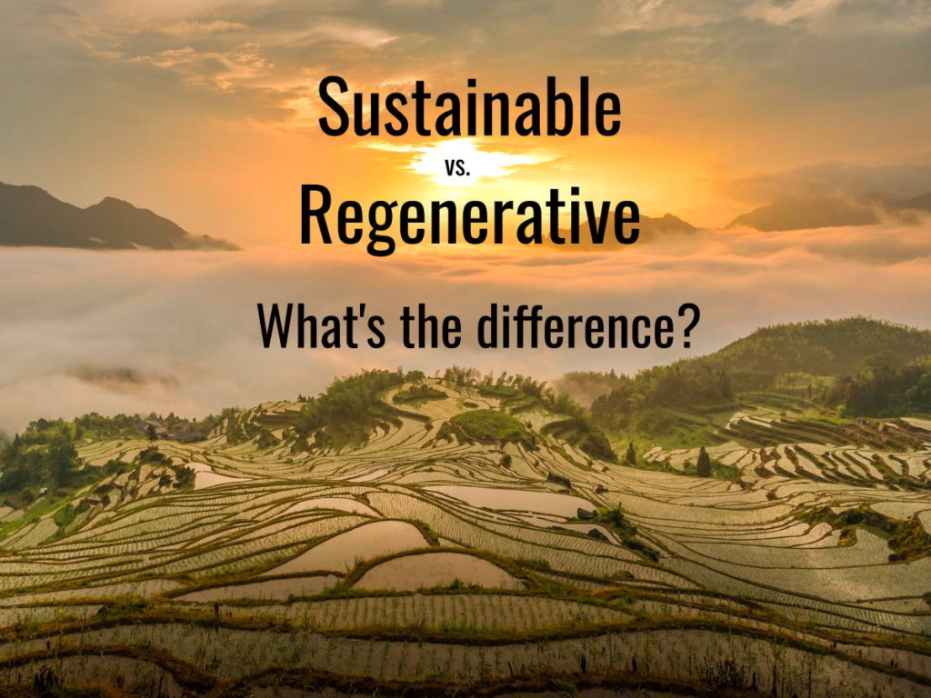 Really, what's the difference? 'Sustainable tourism' vs 'regenerative tourism' 1 Sustainable tourism vs regenerative tourism. What's the difference? Terraces by Zetong Li (CC0) via Unsplash. https://unsplash.com/photos/soRA0cugtHI