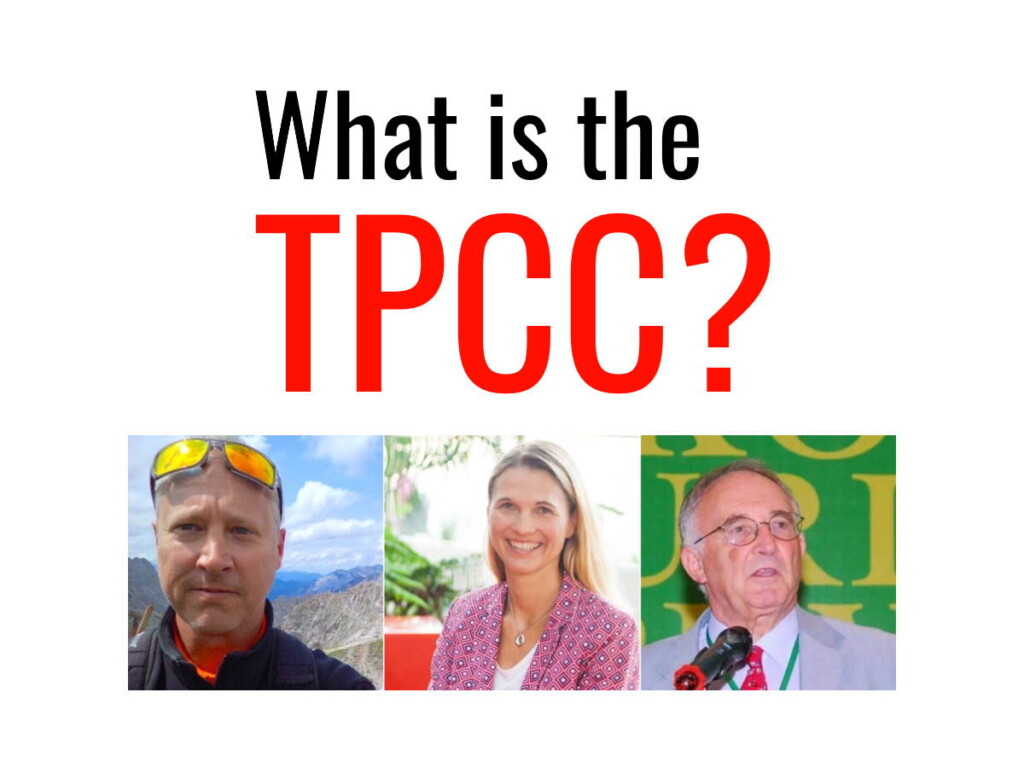 Experts to unveil Tourism Panel on Climate Change (TPCC) at COP27