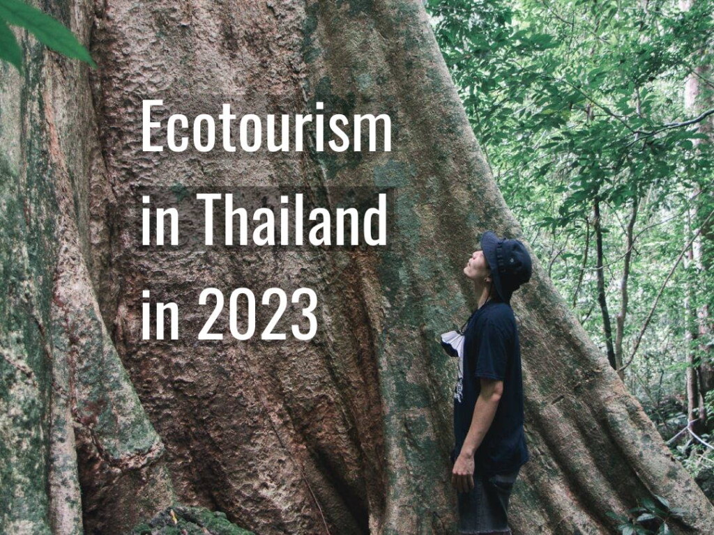 Anurak Trail - Ecotourism experiences refreshed for 2023 at Anurak Community Lodge in Thailand. Image supplied by Anurak.
