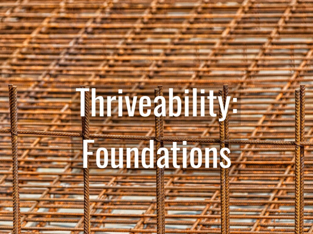 Tourism’s thriveability requires performative change The foundations Base image by Tom (CC0) via Pixabay. https://pixabay.com/photos/steel-mesh-frame-building-shell-6504537/