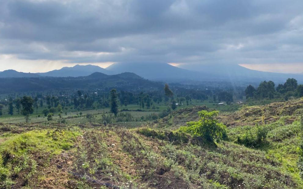 Some of Red Rocks' sustainable tourism and community development projects aim to increase agricultural yields, plant trees, and boost biodiversity in rural landscapes adjacent to Volcanoes National Park, Rwanda