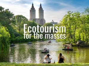 Ecotourism for the masses. Is Central Park, New York, an example? Image by Harry Gillen (CC0) via Unsplash. https://unsplash.com/photos/vMLfRVkWItI