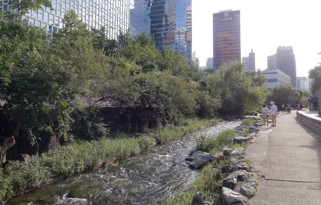 Ecotourism fro the masses: Cheonggyecheon Stream, the green lung of Seoul