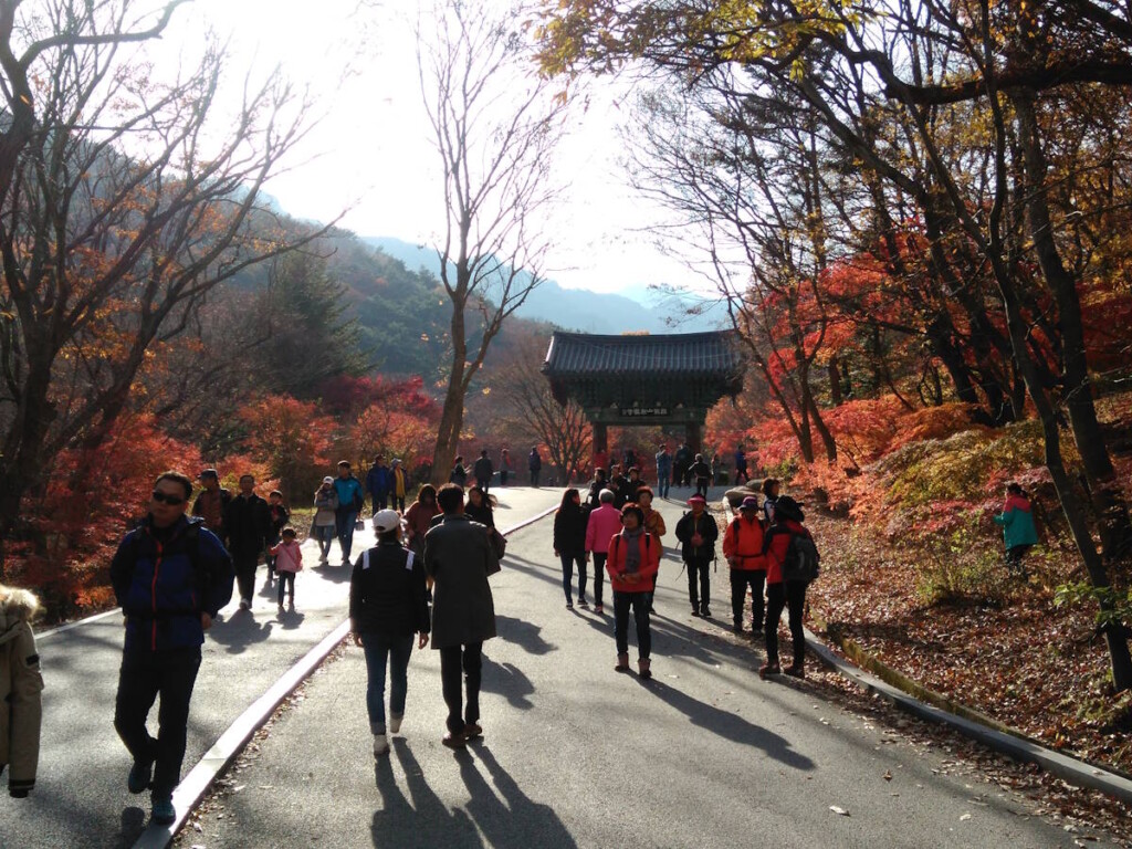 Ecotourism for the masses: Gyeryongsan National Park (계룡산국립공원) near Daejeon city (one of the largest cities in South Korea). 