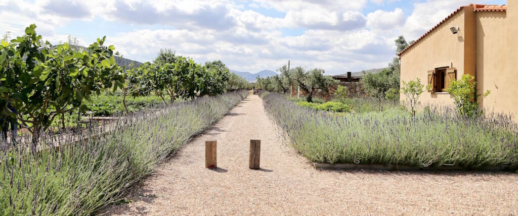 Luxury agritourism is offered at Margi Farm & Hotel, Greece