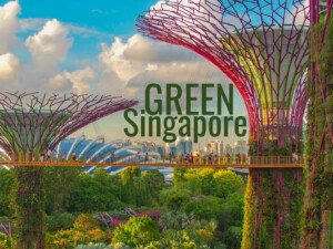 For a sustainable Singapore, Green Destinations picks CRTS. Pic by Coleen Rivas (CC0) via Unsplash. "GT" added "GREEN Singapore". https://unsplash.com/photos/people-crossing-bridge-OZ2rS2zCjNo