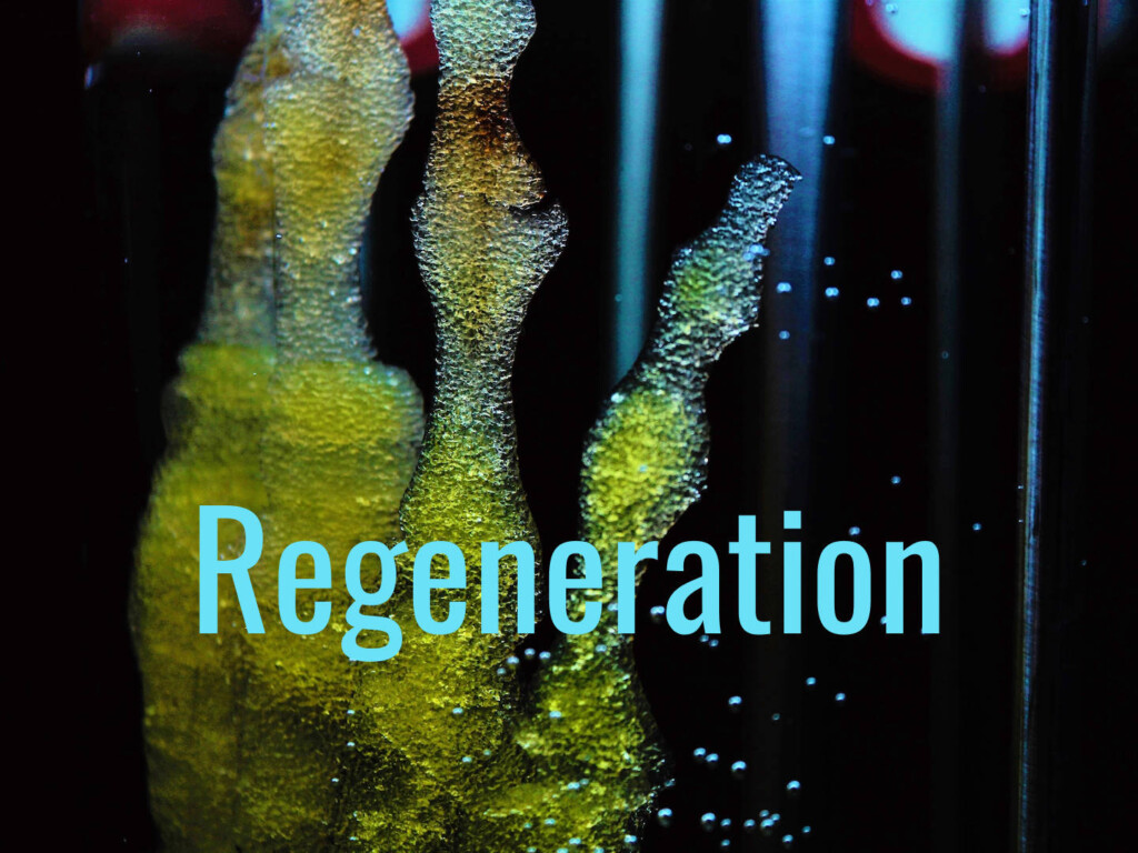 Regenerative tourism's myths and realities 1 Regenerative tourism: Myth and reality. 'Regenerative Reliquary' stem cell image by Monika Robak (CC0) via Pixabay. https://pixabay.com/photos/regenerative-reliquary-amy-karle-2744729/