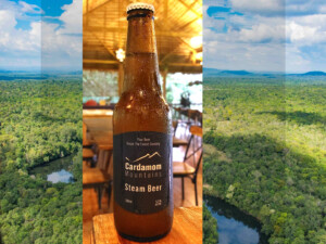 Good news in travel & tourism July-September 2024 10 Cardamom Tented Camp in Cambodia has launched its own conservation beer, Cardamom Mountains Steam Beer, with the tagline, “Your Beer Keeps the Forest Standing”.