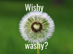 'Wishwashing' tourism. Image by Michaela, at home in Germany • Thank you very much for a like (CC0) via Pixabay. https://pixabay.com/photos/dandelion-heart-wish-wishes-blow-4163657/
