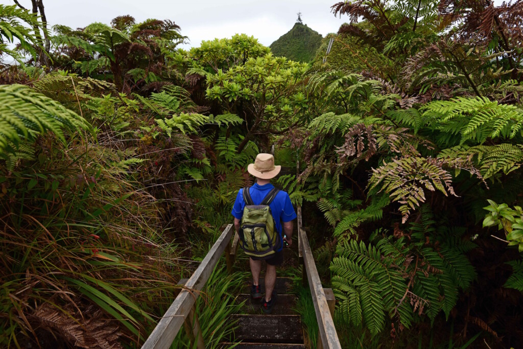 A hike through the island's densely vegetated interior. Photo by Ed Thorpe.