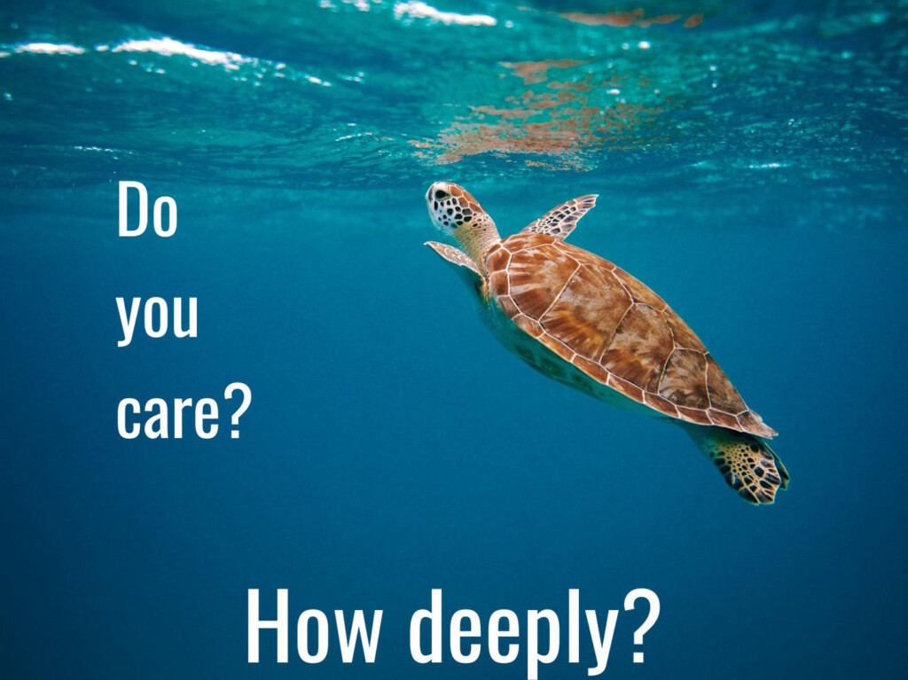 Outbound doesn’t care about sustainability | Well-being must include meaning | BiteX | Photo by David Courbit (CC0) via Unsplash. https://unsplash.com/photos/brown-turtle-in-water-during-daytime-M8xxVih_V_U "GT" cropped it and added the words.