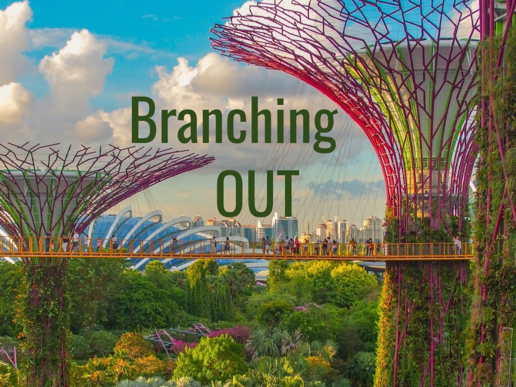 Green Destinations appoints Kevin Phun lead expert for Southeast Asia and the Pacific. Pic description: “I was on a layover in Singapore and decided to visit the Super Tree Grove at Gardens by the Bay. I arrived in the late afternoon and the lighting was brilliant. This is taken from the walkway connecting the trees. Just an amazing site to visit, especially at sunset.” _ Coleen Rivas (CC0) via Unsplash. “GT” added "Branching OUT".