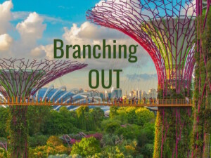 Considering sustainable tourism certification? What to do first and what to look for 8 Green Destinations appoints Kevin Phun lead expert for Southeast Asia and the Pacific. Pic description: “I was on a layover in Singapore and decided to visit the Super Tree Grove at Gardens by the Bay. I arrived in the late afternoon and the lighting was brilliant. This is taken from the walkway connecting the trees. Just an amazing site to visit, especially at sunset.” _ Coleen Rivas (CC0) via Unsplash. “GT” added "Branching OUT".