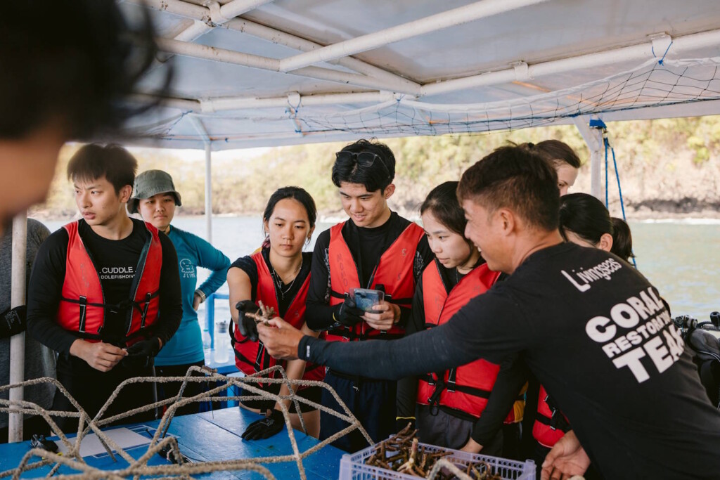 From reef rubble to recovery: How Livingseas Asia is leading tourism in Bali 5 Livingseas' workshop on coral pontoon