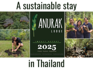 Sustainable stay: Thailand's Anurak Lodge embraces ‘4Cs’ in the Long Run's regenerative travel quest