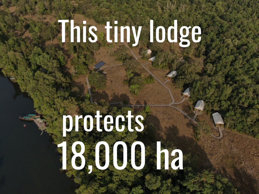 Cardamom Tented Camp, which protects 18000 ha of Cambodian forest, has release its 2025 impact report