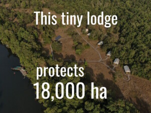 Tourism in crisis: A Myanmar elephant camp & community pivot to plan B 14 Cardamom Tented Camp, which protects 18000 ha of Cambodian forest, has release its 2025 impact report