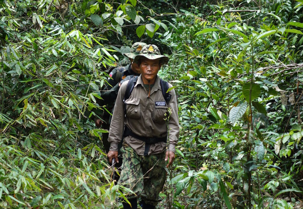Cardamom Tented Camp reports strong conservation gains 3 Rangers Walking 1