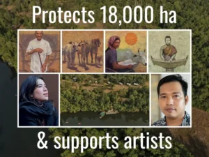 Elephants, otters return to Cardamom Tented Camp's conservation area in Cambodia 6 Cardamom Tented Camp in Cambodia Announces Artist in Residence Program